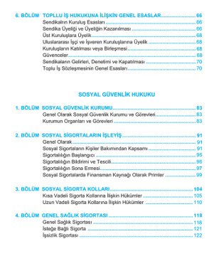 SMMM Staja Giriş Sınavına Hazırlık İş ve Sosyal Güvenlik Hukuku Konu Anlatımlı Kitap