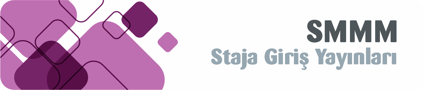 SMMM Staja Giriş Yayınları