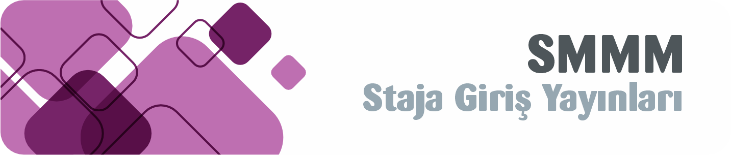 SMMM Staja Giriş Yayınları