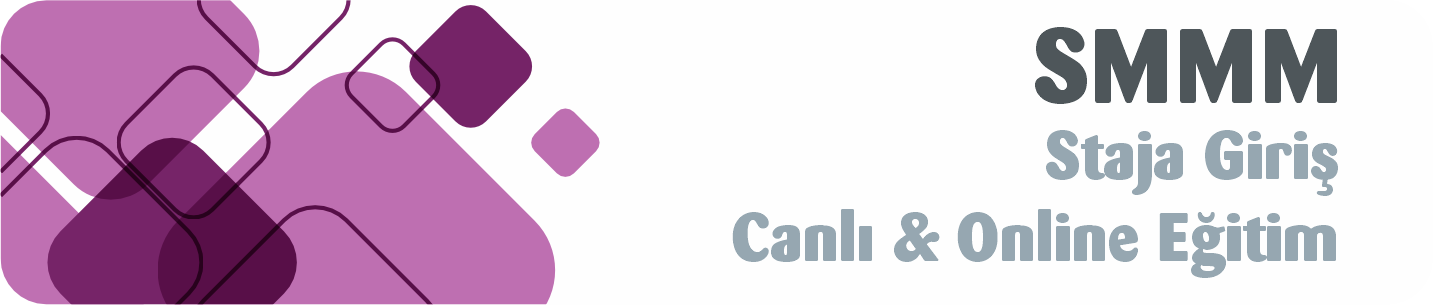 SMMM Staja Giriş Canlı & Online Eğitim